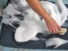 Pranje mebla čišćenje nameštaja 